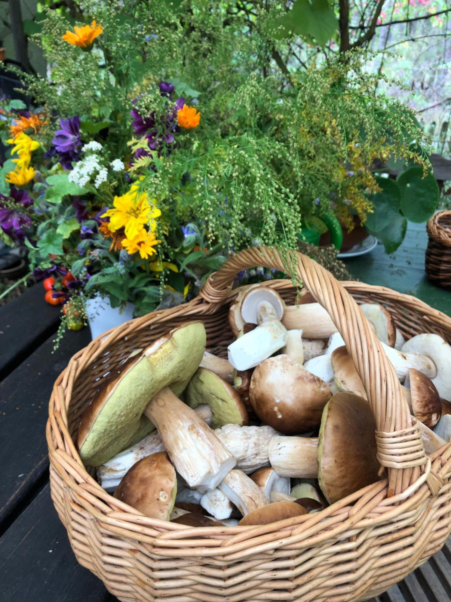 Scheunenherberge Schäfchenzählerei Frühstückspension